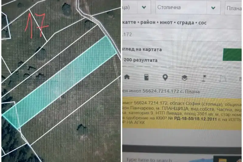 Plot in Plana