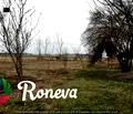 Снимка 2 — Парцел в с. Тополи