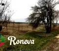 Снимка 3 — Парцел в с. Тополи