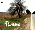 Снимка 4 — Парцел в с. Тополи