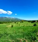 Парцел в с. Железница