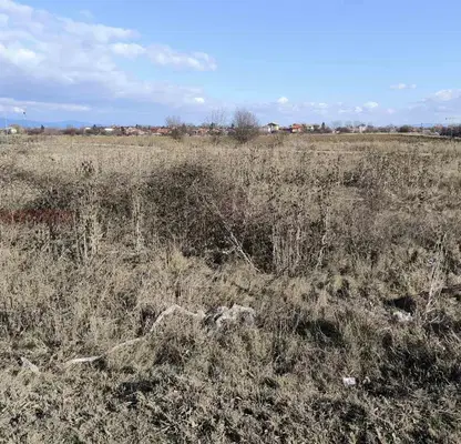 Photo 2 — Plot in Krivina