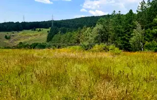 Парцел в с. Войнеговци