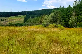 Парцел в с. Войнеговци
