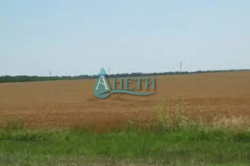 Plot in Mirovyane