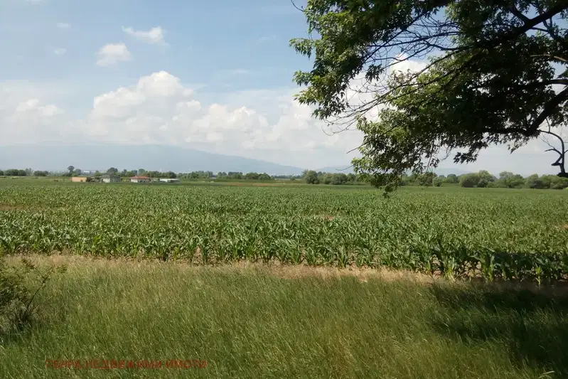 Plot in Svetovrachene