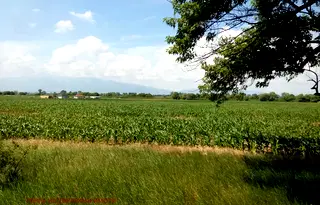Парцел в с. Световрачене