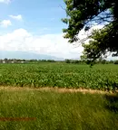 Парцел в с. Световрачене