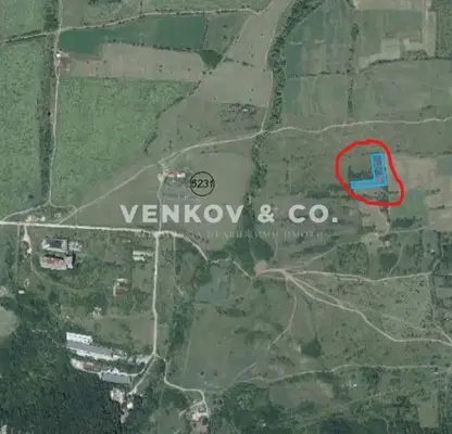 Photo 2 — Plot in Lozen