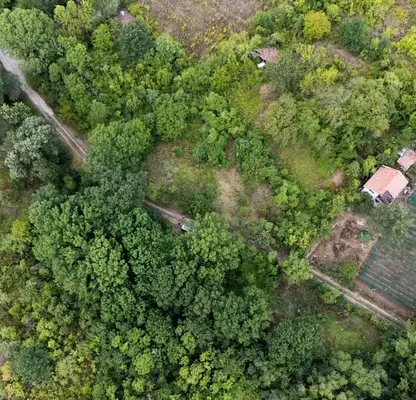 Photo 2 — Plot in Студентски