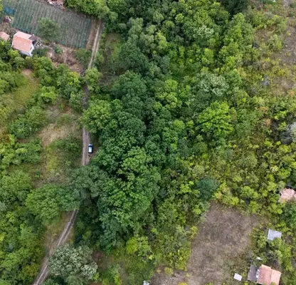 Photo 4 — Plot in Студентски