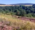 Снимка 5 — Парцел в с. Бистрица