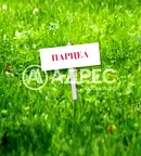 Парцел в с. Лозен