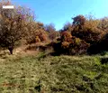 Снимка 3 — Парцел в с. Лозен