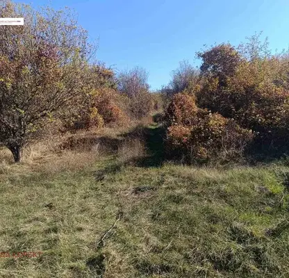 Photo 3 — Plot in Lozen