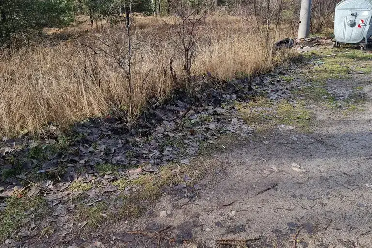 Plot in Plana