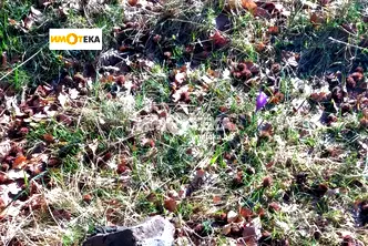 Парцел в с. Бистрица
