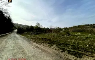 Парцел в с. Панчарево