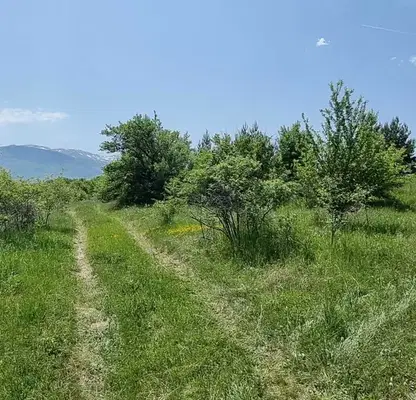 Photo 2 — Plot in Pancharevo