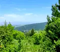 Снимка 3 — Парцел в с. Панчарево