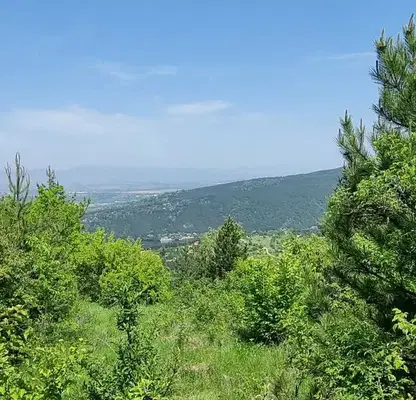 Photo 3 — Plot in Pancharevo