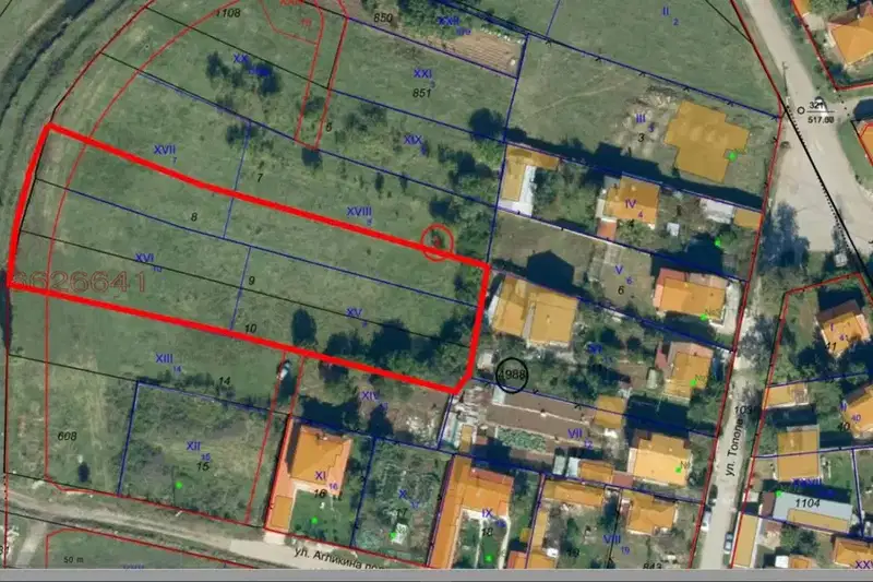 Plot in Mirovyane