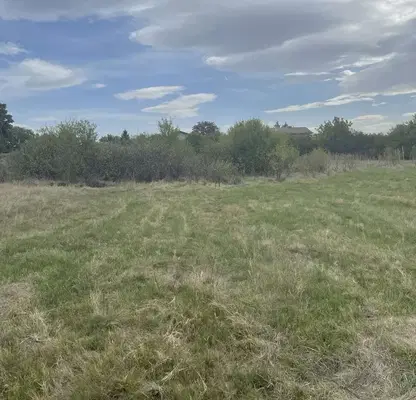 Photo 3 — Plot in Mirovyane