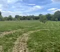 Снимка 4 — Парцел в с. Мировяне