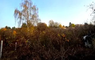 Парцел в с. Панчарево