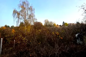 Парцел в с. Панчарево