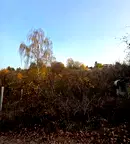 Парцел в с. Панчарево