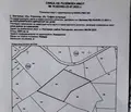 Снимка 4 — Парцел в с. Бистрица