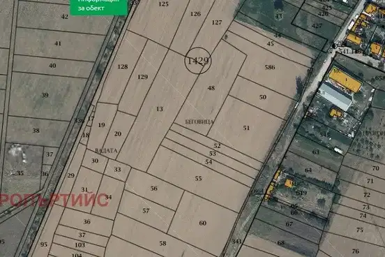 Plot in Busmanci
