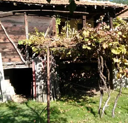Photo 2 — Plot in Dolni Pasarel