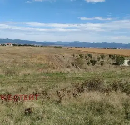 Photo 5 — Plot in Voluyak