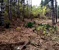 Снимка 3 — Парцел в с. Панчарево