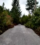 Парцел в с. Панчарево