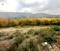 Снимка 2 — Парцел в с. Кокаляне