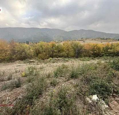 Photo 2 — Plot in Kokalyane