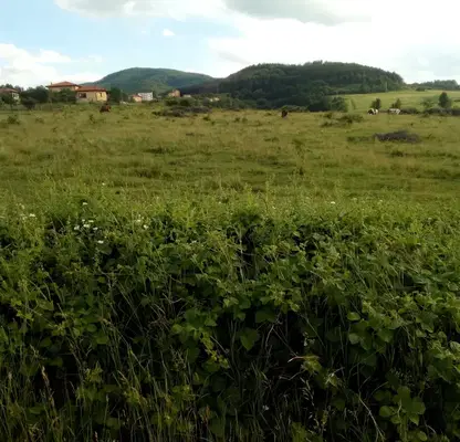 Снимка 4 — Парцел в Банкя