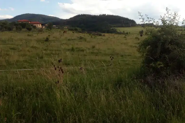 Парцел в Банкя