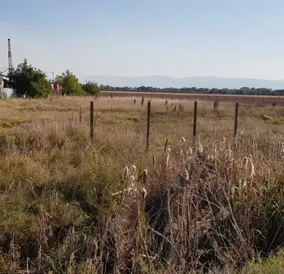 Photo 5 — Plot in Chepinci