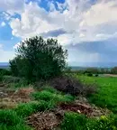 Парцел в с. Герман
