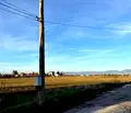 Снимка 3 — Парцел в с. Бусманци