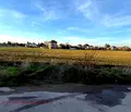 Снимка 5 — Парцел в с. Бусманци
