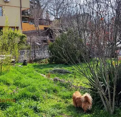Photo 2 — Plot in м-т Евксино