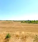 Парцел в с. Равнец