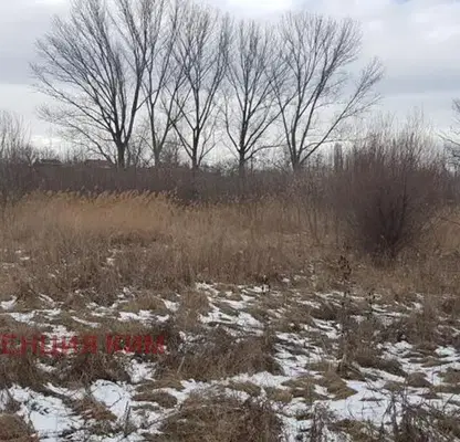 Photo 2 — Plot in Krivina