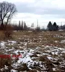 Парцел в с. Кривина
