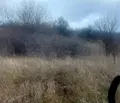 Снимка 4 — Парцел в с. Панчарево